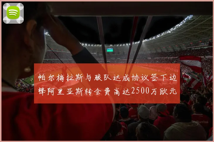 帕尔梅拉斯与狼队达成协议签下边锋阿里亚斯转会费高达2500万欧元